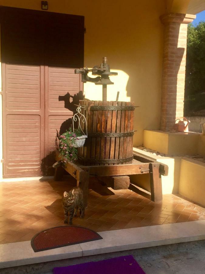 カステル・リタルディIl Girasoleアパートメント エクステリア 写真